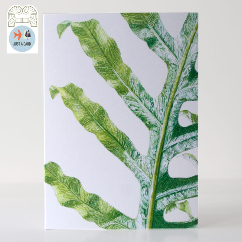 A6 greetings card - reproduced from a botanical watercolour painting, Phlebodium aureum, Golden Polypody - Just a card