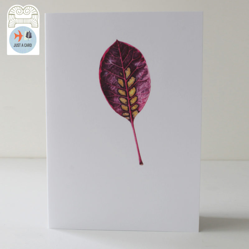 A6 greetings card - reproduced from a botanical watercolour painting, Smoke leaf - Just a card