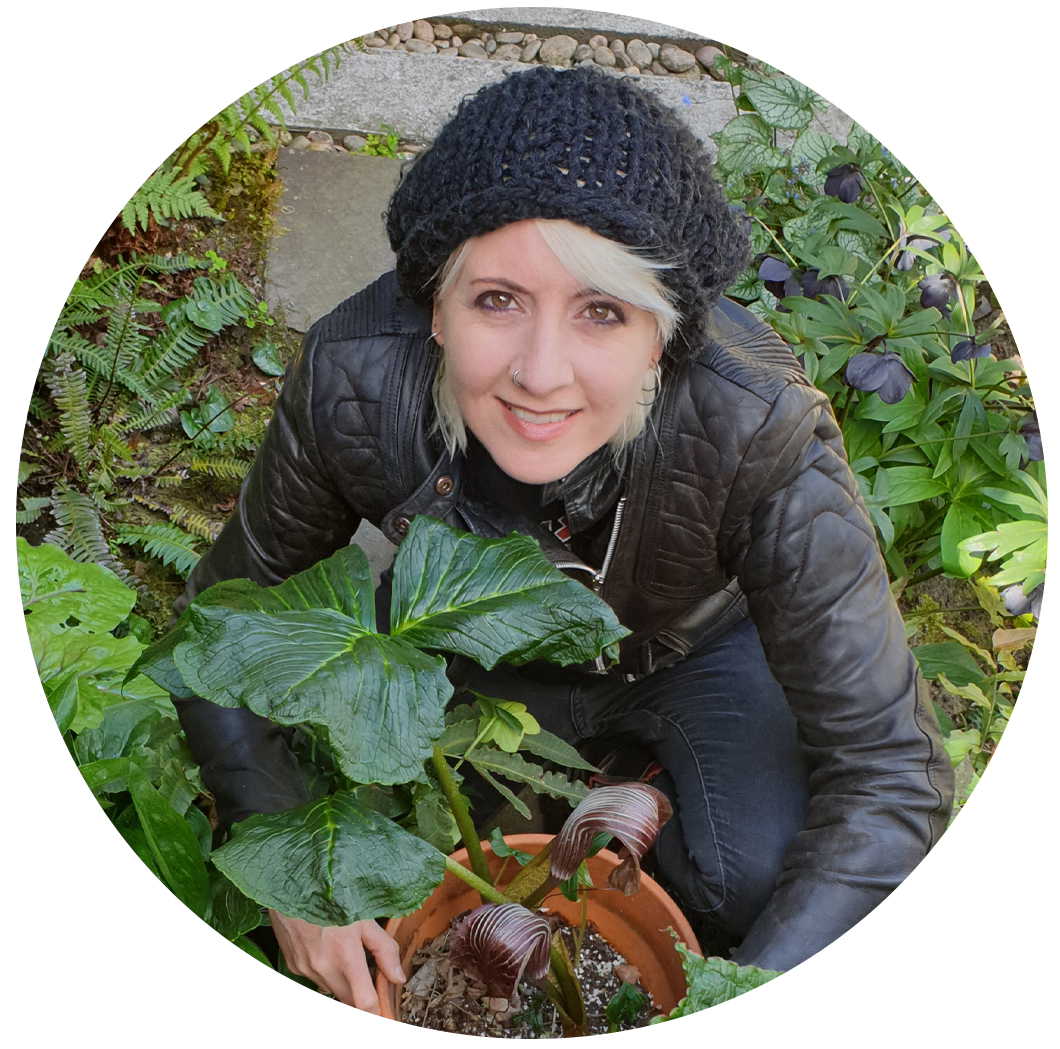 Marianne Hazlewood in the garden with Arisaema griffithii