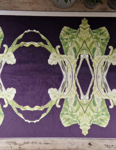 Asplenium nidus aubergine fabric design including imagery from my Asplenium nidus painting on soft velvet