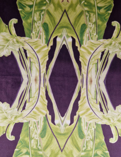 Asplenium nidus aubergine fabric design including imagery from my Asplenium nidus painting on soft velvet