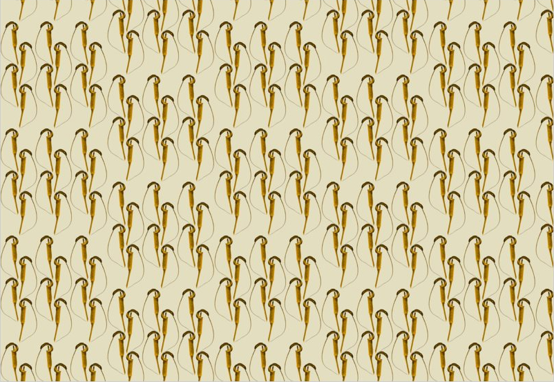 Cilliatum fabric design  half drop