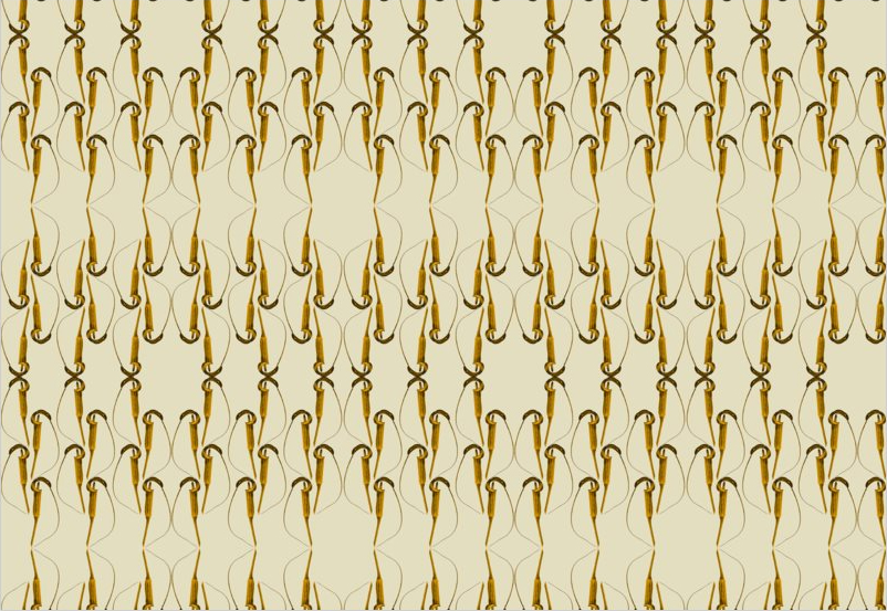 Cilliatum fabric design mirrored