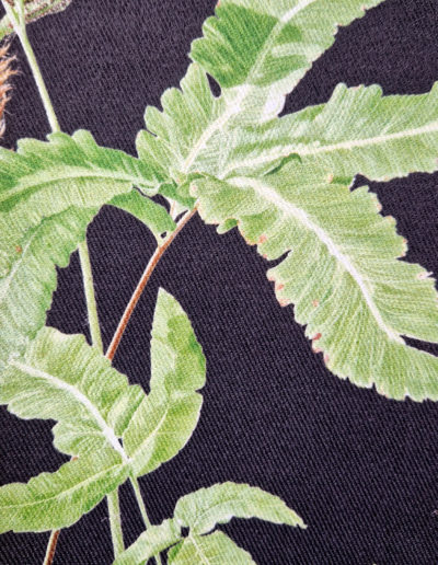 Dark Fern - full colour fabric design including imagery from my Dryopteris affinis and Dryopteris sieboldii paintings on 300gsm Denim