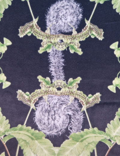 Dark Fern - grey fabric design including imagery from my Dryopteris affinis and Dryopteris sieboldii paintings on 280gsm Soft Velvet