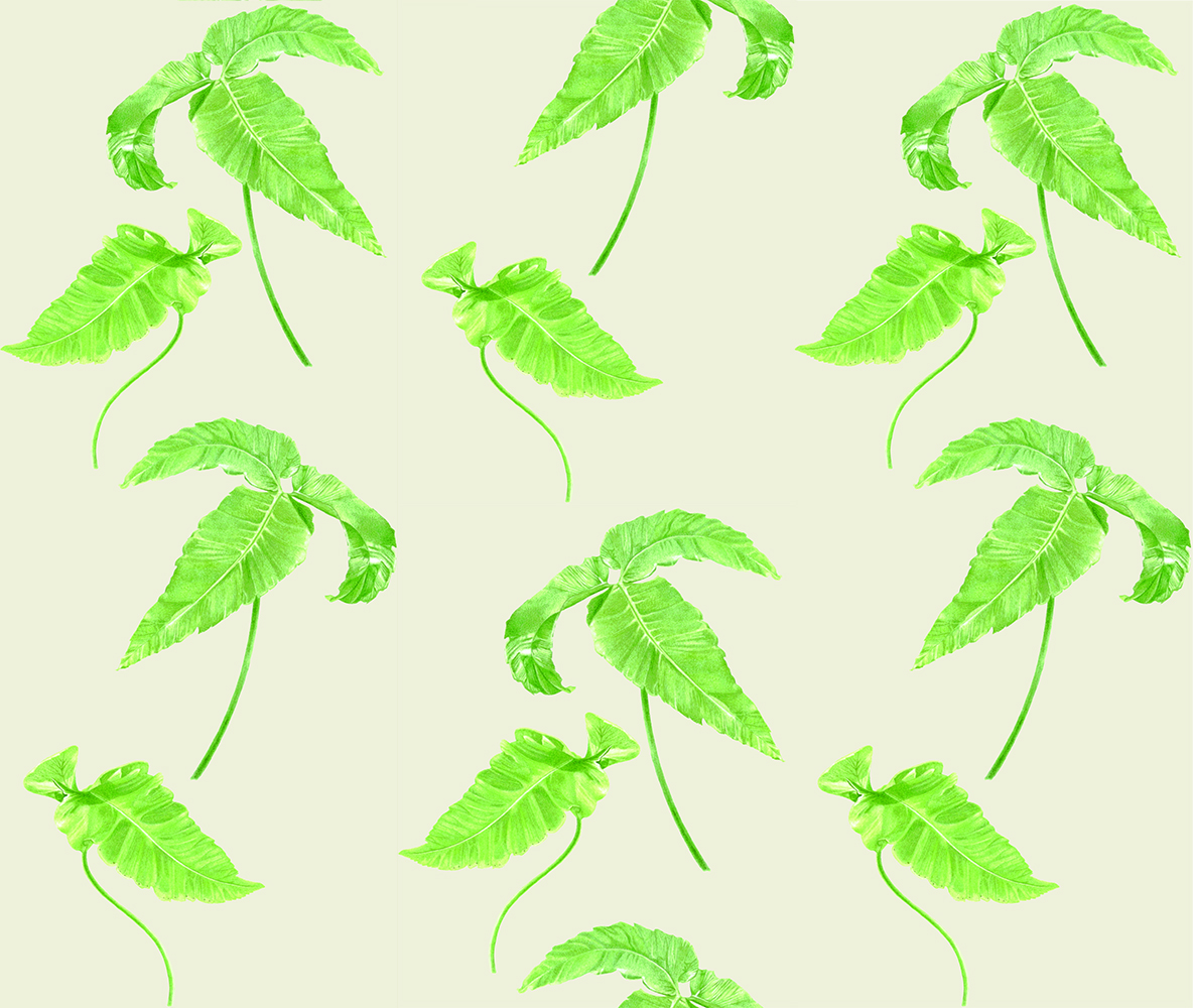 Simple fern creme fabric design including imagery from my Dryopteris sieboldii painting