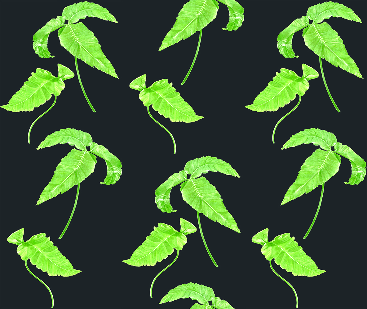 Simple fern dark fabric design including imagery from my Dryopteris sieboldii painting