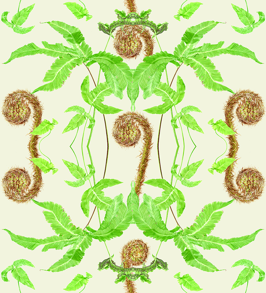 Creme Fern fabric design including imagery from my Dryopteris affinis and Dryopteris sieboldii paintings