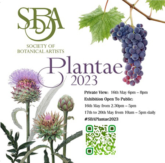 SBA-23 SBA Society of Botanical Artists Plantae 2023 16 – 20 May<br />
10am – 5pm<br />
£5<br />
Mall Galleries,The Mall, St. James’s, London SW1Y 5AS