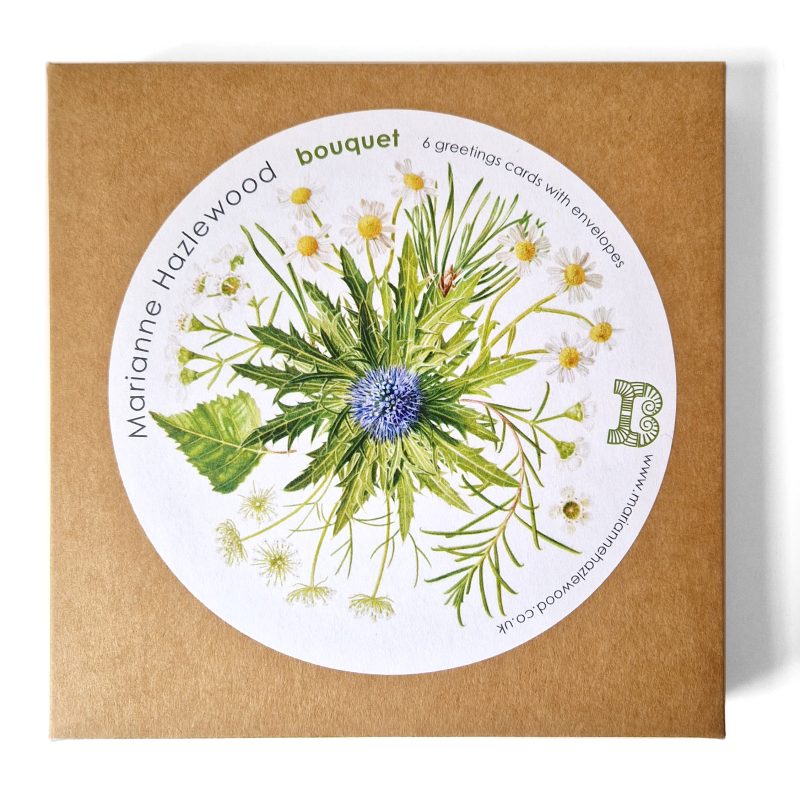 Bouquet Box set of six greetings cards - 3 of each card, based on a watercolour painting, a commission based on a bridal bouquet, featuring daisies, wax flower, eryngium, pine, birch and ami by Marianne Hazlewood