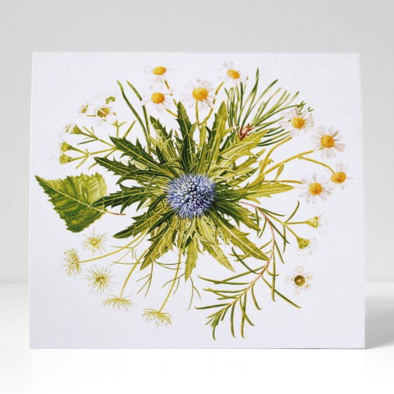 Bouquet greetings card, front - based on a watercolour painting, a commission based on a bridal bouquet, featuring daisies, wax flower, eryngium, pine, birch and ami by Marianne Hazlewood