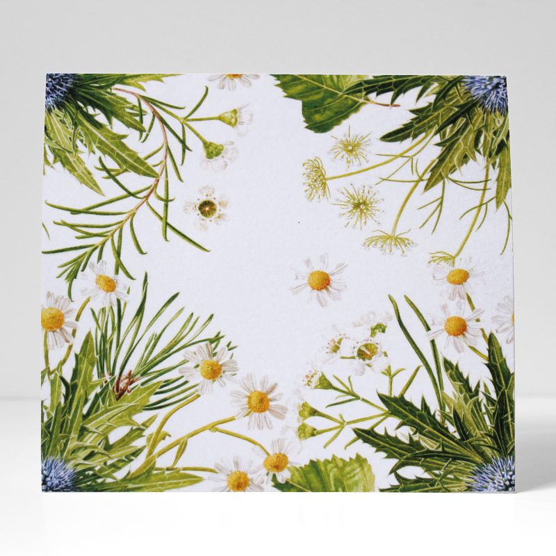 Bouquet corners greetings card, front - based on a watercolour painting, a commission based on a bridal bouquet, featuring daisies, wax flower, eryngium, pine, birch and ami by Marianne Hazlewood
