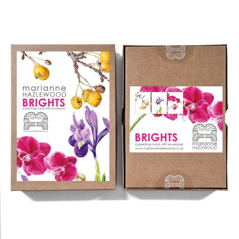 Box set, 6 x A6 brights greetings cards