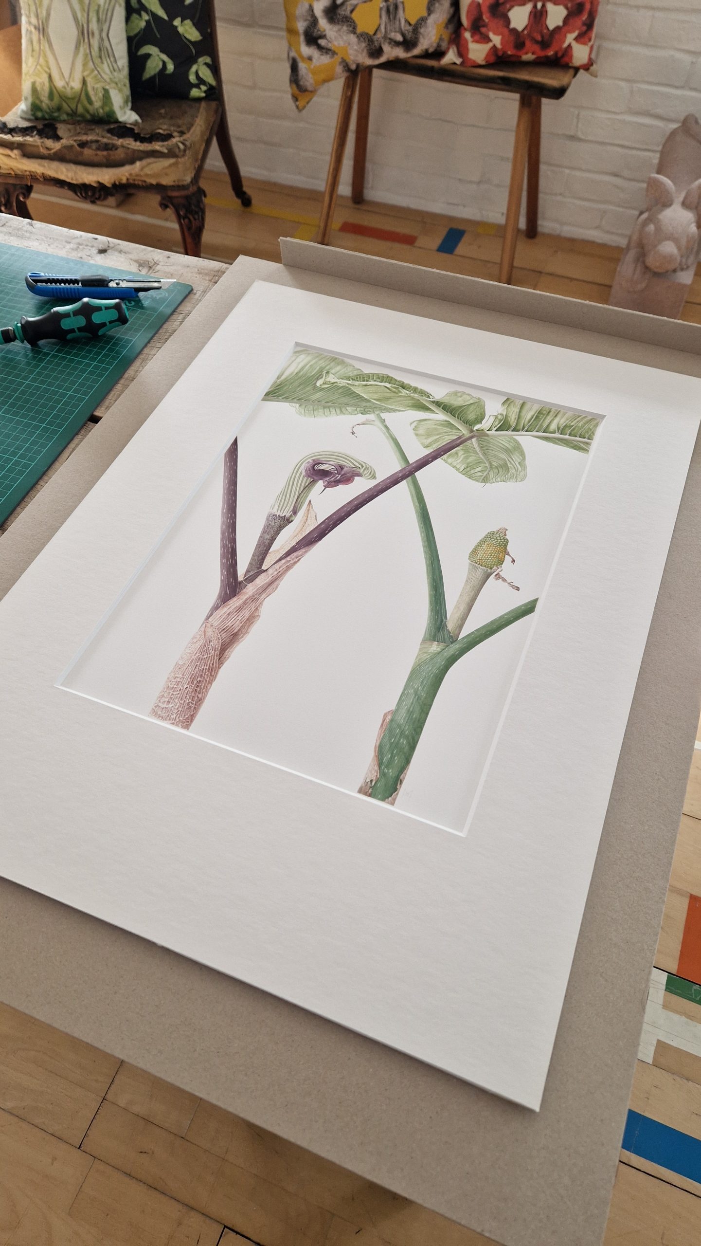 Arisaema ringens - watercolor painting by Marianne Hazlewood removed from its frame, sitting on a grey board back piece - being packaged for the Hunt International Series Exhibition 2024