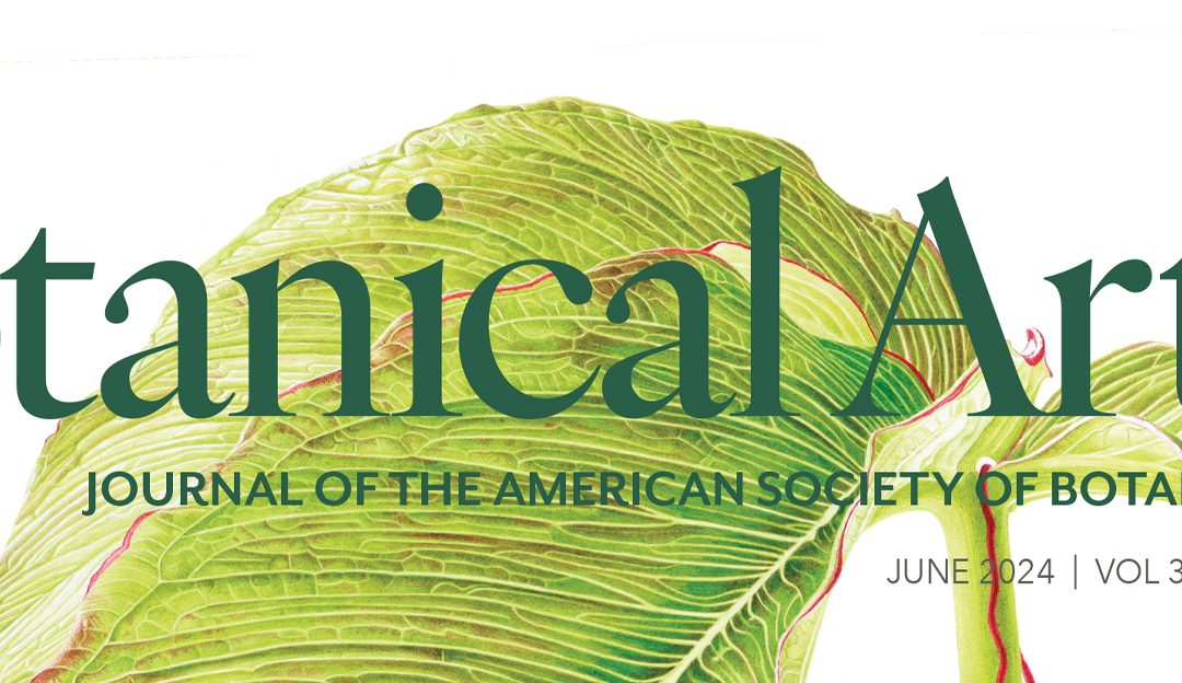 The Botanical Artist – Front Cover featuring Arisaema costatum