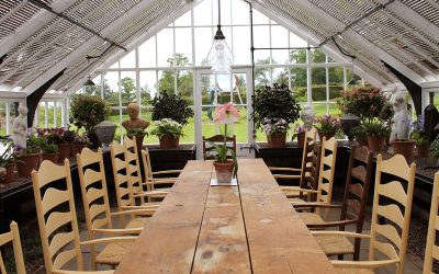 Botanical illustration in the Glasshouses and Walled Garden at the Hugo Burge Foundation