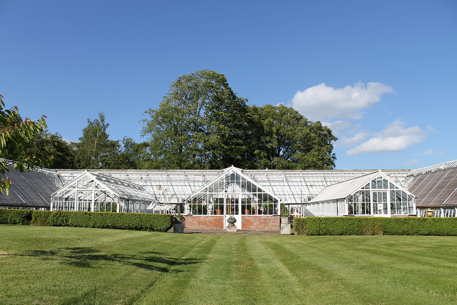 The Glasshouses in the Walled garden at the Hugo Burge Foundation The Glasshouses in the Walled garden at the Hugo Burge Foundation