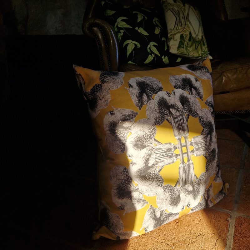Large cushion - yellow mandala catchign the sunlight at Fogo, based on an illustration of Arisaema griffithii var-pradhanii by Marianne Hazlewood