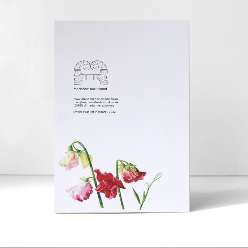 Sweet pea for Margaret - greeting card A6t