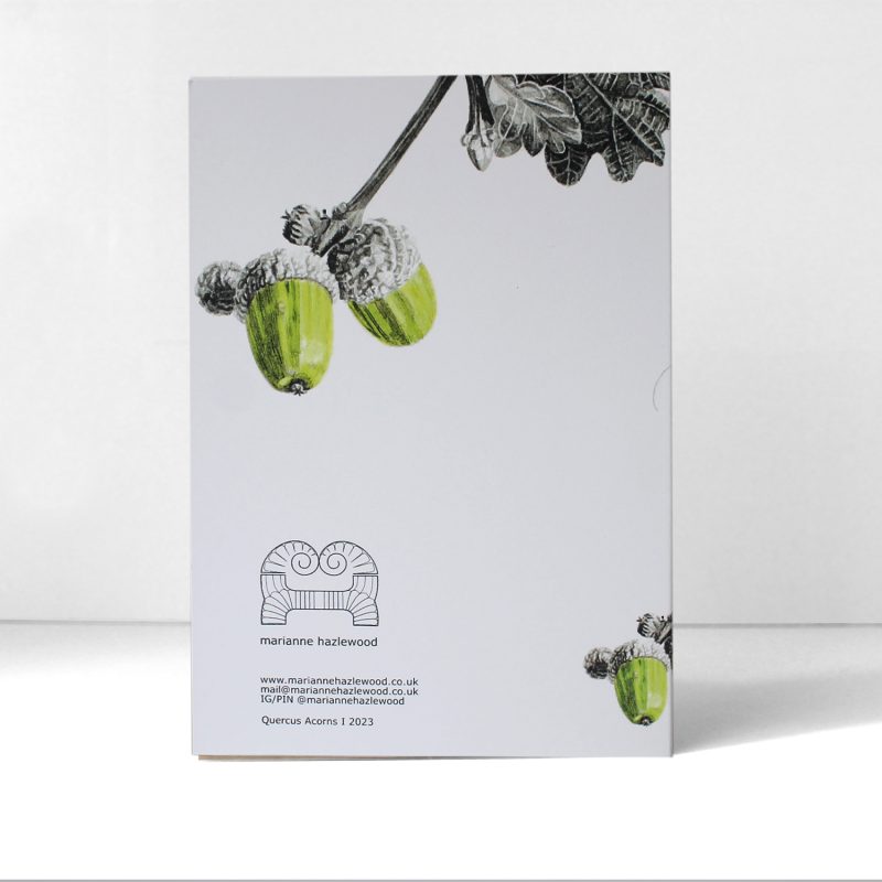 Quercus, acorns I - greetings card
