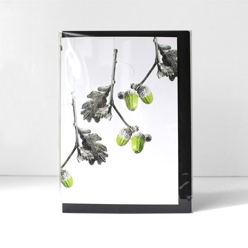 Quercus, acorns I - greetings card