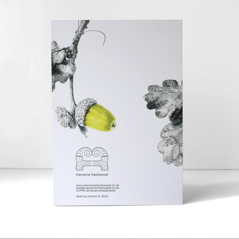 Quercus, acorns II - greetings card