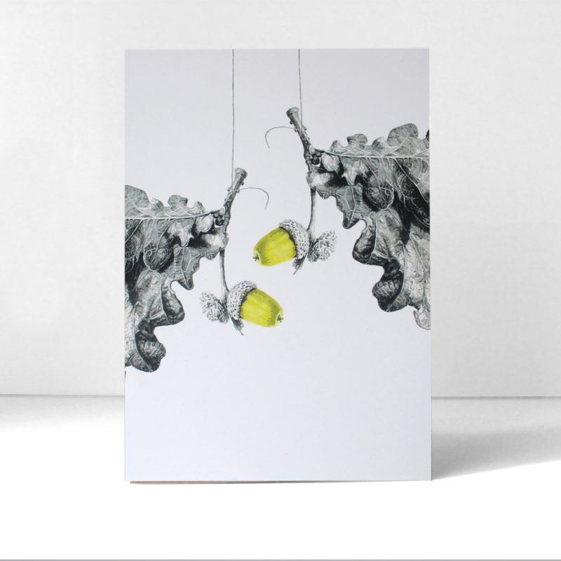 Quercus, acorns II - greetings card