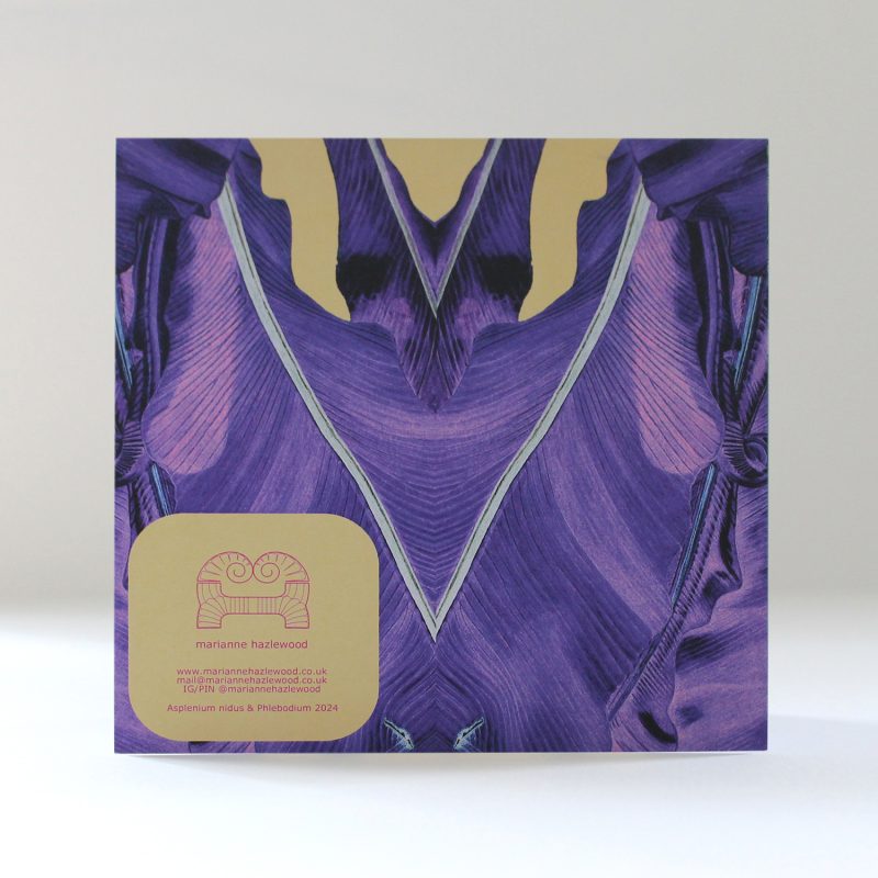 Regency Purple Asplenium & Phlebodium greetings card