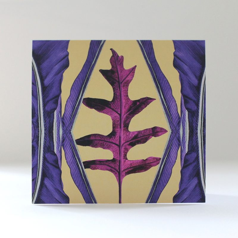 Regency Purple Asplenium & Phlebodium greetings card