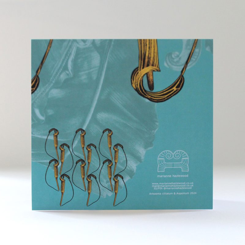 Regency Yellow Arisaema cilliatum square greetings card
