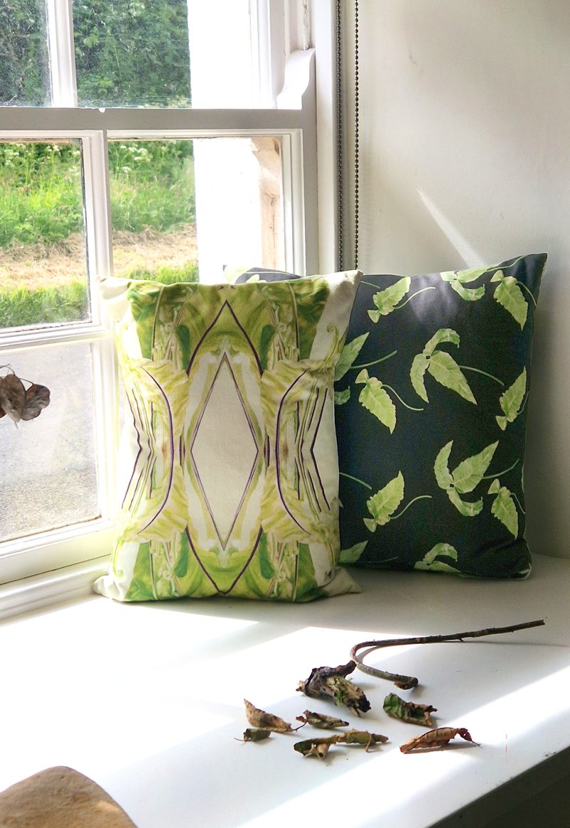 Asplenium nidus cushion and small cushion based on an illustration of Dryopteris siebolidii by Marianne Hazlewood