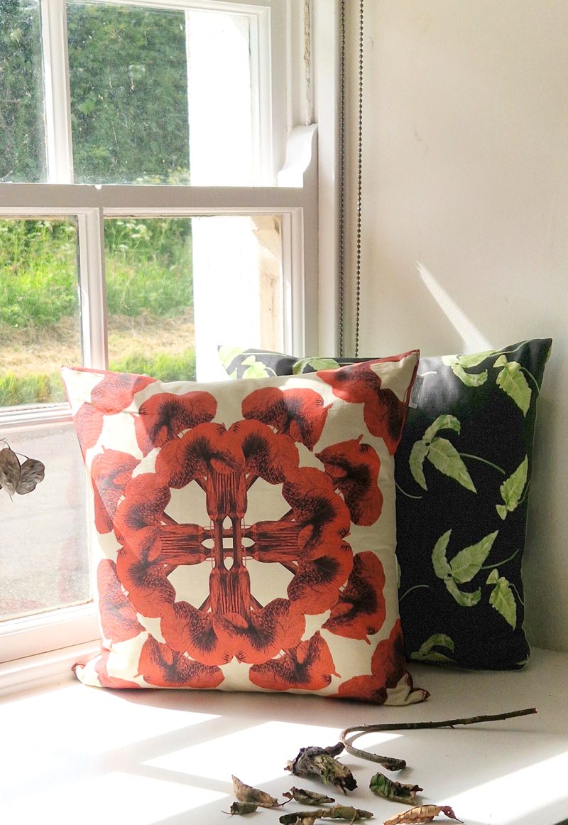 The red mandala on creme small cushion and small cushion based on an illustration of Dryopteris siebolidii on a charcoal background, by Marianne Hazlewood