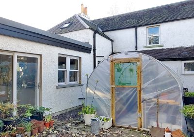 The polytunnel on the patio - 2022