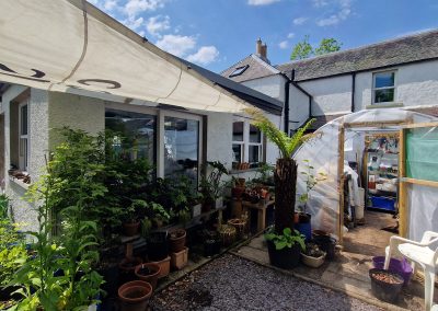 The polytunnel on the patio & pots with a sail shade - 2022