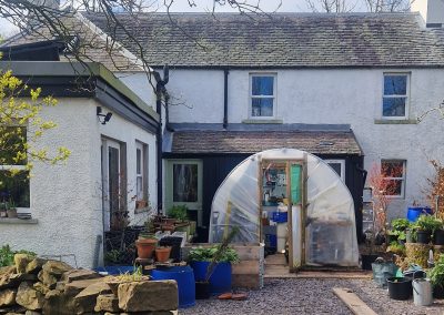 The polytunnel on the patio - 2024