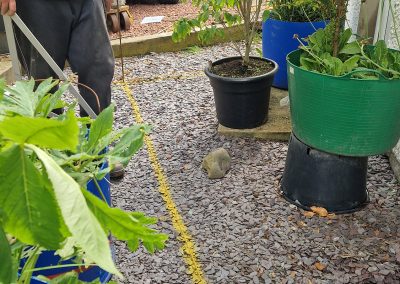 Drawing the paths & beds - 2024