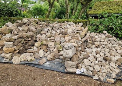 Rock collection 2024