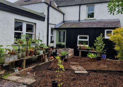Landscaping the old patio area - 2024