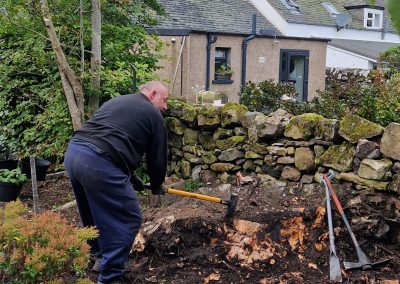 Taking the stump down to ground level - 2024