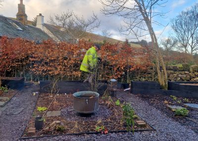 Making the raised beds - 2025