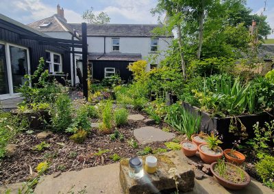 Relaxing on the bench - 2025