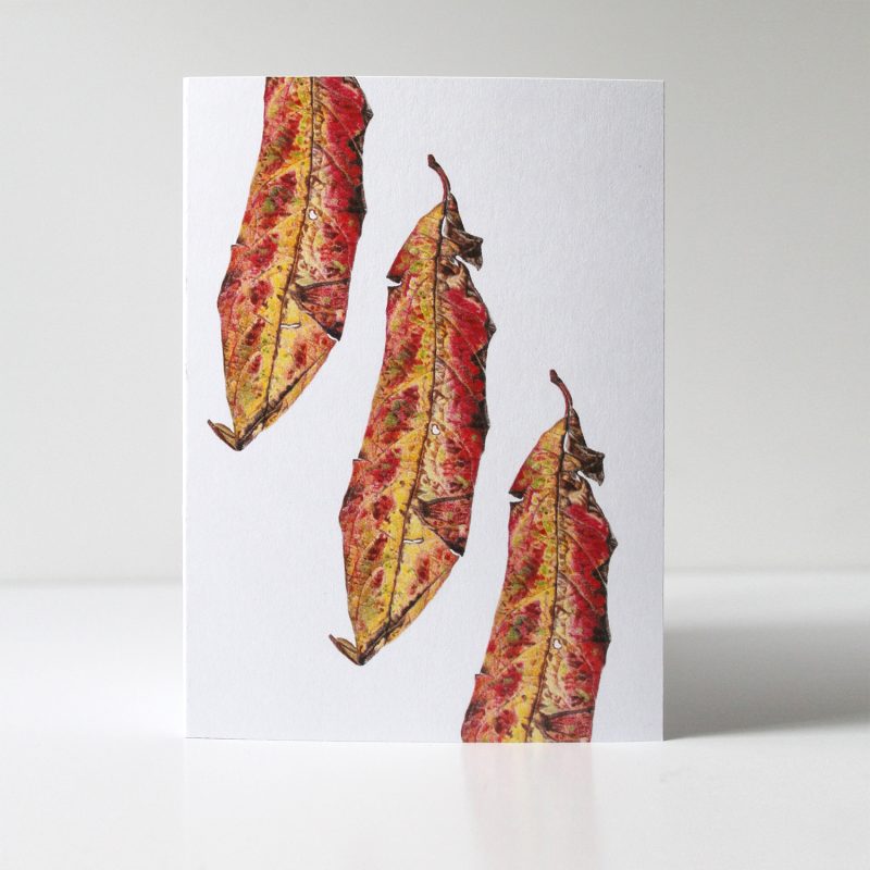 Small things - leaf greetings card