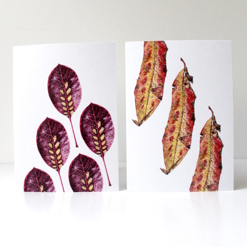 Small things - leaves greetings cards