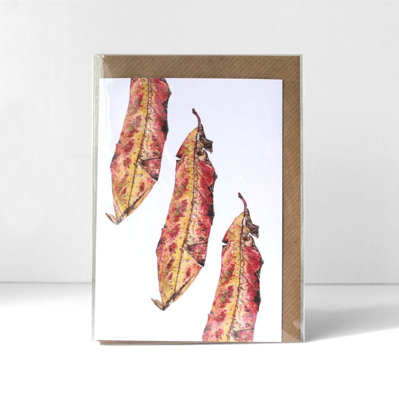 Small things - leaf greetings card