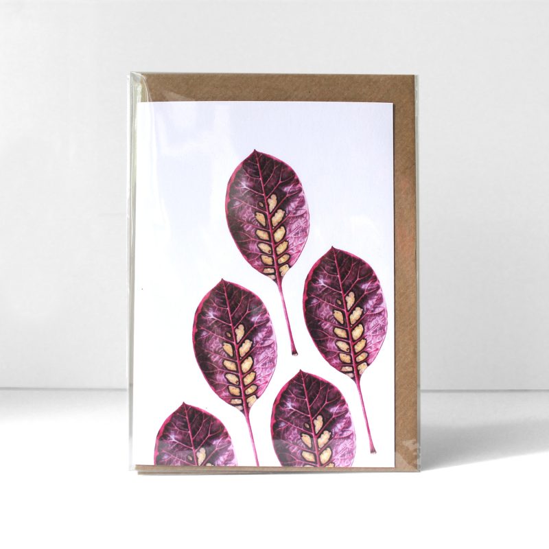 Small things - Smoke leaf greetings card