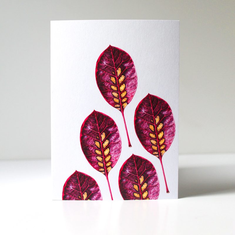 Small things - Smoke leaf greetings card
