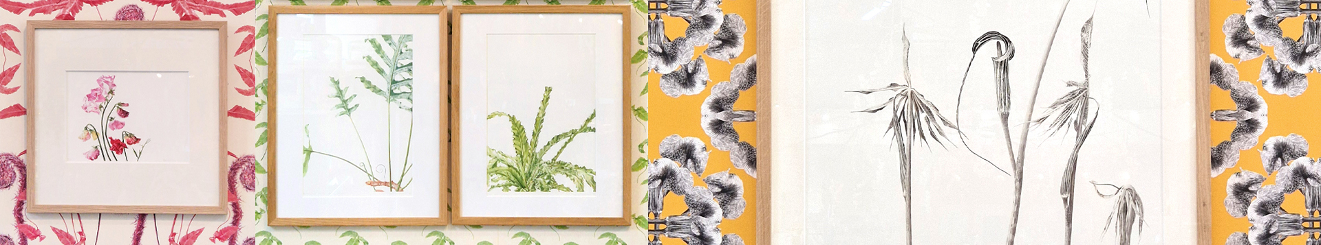 Wallpaper by Marianne Hazlewood Wallpaper by Marianne Hazlewood