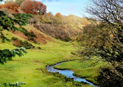 Scroggy Brae, Carlops