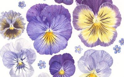 Focus and unwind with our Botanical painting & Yoga Retreat