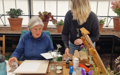 August & September Workshops – Botanical painting at Dukes of West Barns